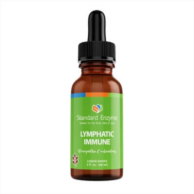 LYMPHATIC IMMUNE